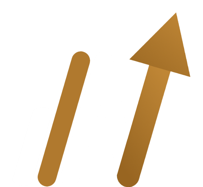 NexiVirta